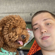 ���������� ������, ���� ������� �������, 28 ���, ������������ ��� ������, ����� � ���������