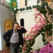  ,   , 51 ,   ,   
