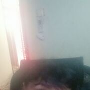   ,  , 56