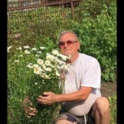 ���������� ����, ���� ������� ������, 66 ���, ������������ ��� ������, ����� � ���������, c�������� ���������