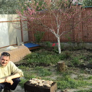  ,   , 48 ,   ,   , c 