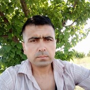 ���������� �����������, ���� ������� ���, 31 ���, ������������ ��� ������, ����� � ���������