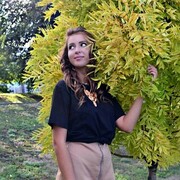  ,   , 28 ,  
