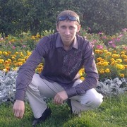  -,   , 41 ,   ,   , c 