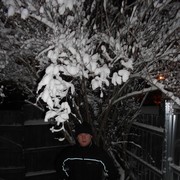 ���������� �������, ���� ������� ����, 36 ���, ������������ ��� ������, ����� � ���������, c�������� ���������