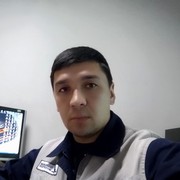  ,   Ass, 36 ,   , 