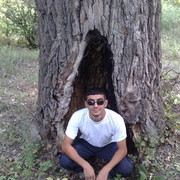  ,   Movsum, 38 ,   ,   , c 