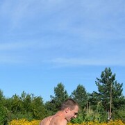 ���������� �������, ���� ������� ���������, 29 ���, ������������ 