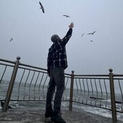 ���������� �����������, ���� ������� ������, 26 ���, ������������ ��� ������, ����� � ���������