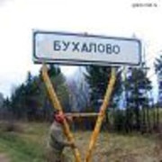 ���������� ���������, ���� ������� ����, 43 ����, ������������ ��� ������