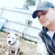 ���������� ������, ���� ������� �������, 29 ���, ������������ ��� ������, ����� � ���������