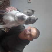 ���������� ����, ���� ������� ����, 34 ����, ������������ ��� ������, ����� � ���������