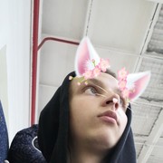  ,   Kotik, 24 ,   ,   , c 