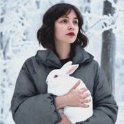 ���������� ����������, �����