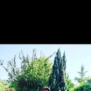 ���������� ���������, ���� ������� ����, 38 ���, ������������ ��� ������, ����� � ���������, c�������� ���������