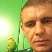  --,   , 40 ,   ,   