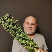 ���������� �����, ���� ������� ANDR, 65 ���, ������������ ��� ������, ����� � ���������