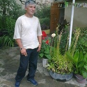  -,   Paata, 49 ,   ,   , c 