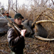 ���������� ���������, ���� ������� ����������, 43 ����, ������������ ��� ������, ����� � ���������, c�������� ���������