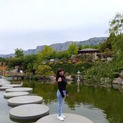  ,   , 49 ,   ,   , c 