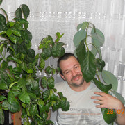 ,   , 50 ,   ,   , c 
