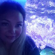 ���������� �����, ���� ������� ��������, 38 ���, ������������ 