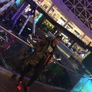  ,   Ricer, 31 ,   ,   