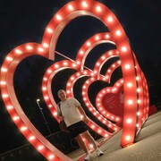 ���������� ������, ���� ������� �������, 36 ���, ������������ ��� ������, ����� � ���������, c�������� ���������