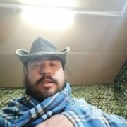 ���������� ������, ���� ������� �����, 33 ����, ������������ ��� ������, ���������