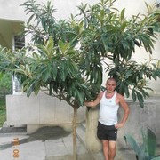  ,   , 40 ,   ,   , c 
