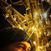 ���������� ������, ���� ����� �����, 23 ����, ������������ ��� ����� � ���������, c�������� ���������