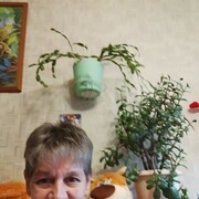 ���������� ������, ���� ������� �������, 65 ���, ������������ ��� c�������� ���������