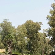  ,   , 60 ,     , c 