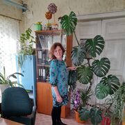 ,   , 55 ,   ,   
