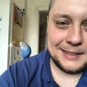  --,   , 33 ,   ,   , c 