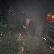 ���������� �����������, ���� ������� �����, 39 ���, ������������ ��� ������, ����� � ���������, c�������� ���������