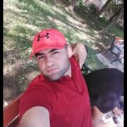  ,  , 31