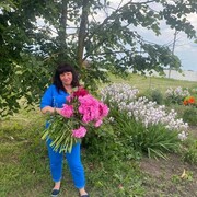 ,   , 43 ,  