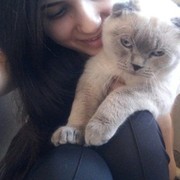 ���������� ��������, ���� ������� ��������, 30 ���, ������������ 