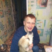 ���������� �����-���������, ���� ������� �����, 34 ����, ������������ ��� ������, ����� � ���������, c�������� ���������