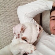 ���������� ������, ���� ������� ������, 40 ���, ������������ ��� ������, ����� � ���������