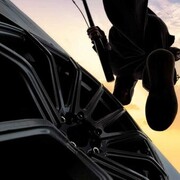 ���������� ������������, ���� ������� �����, 33 ����, ������������ 