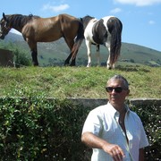 ���������� ����, ���� ������� Patrick, 58 ���, ������������ ��� ������, ����� � ���������, c�������� ���������