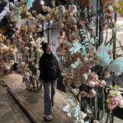 ,   , 24 ,   ,   