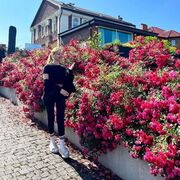 ���������� ������, ���� ������� ����, 40 ���, ������������ ��� ���������