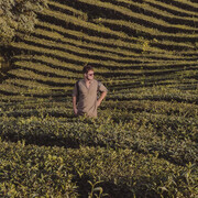 ���������� ������, ���� ������� �������, 32 ����, ������������ ��� ������, ����� � ���������, c�������� ���������