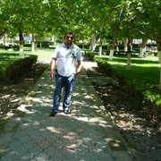  ,   Lev, 46 ,  