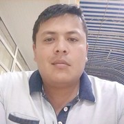  ,  falcon, 35