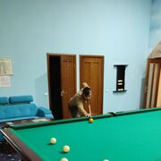 ���������� ������, ���� ������� �����, 42 ����, ������������ ��� c�������� ���������, ���������