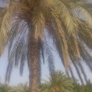  ,   , 123 ,   ,   , c 